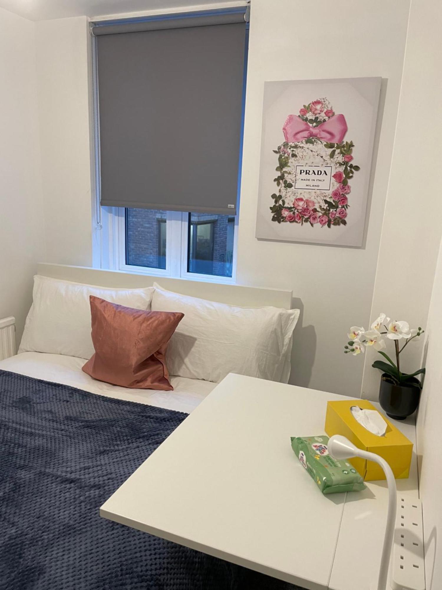 Lovely Double Rooms In Euston & Square In Central لندن المظهر الخارجي الصورة